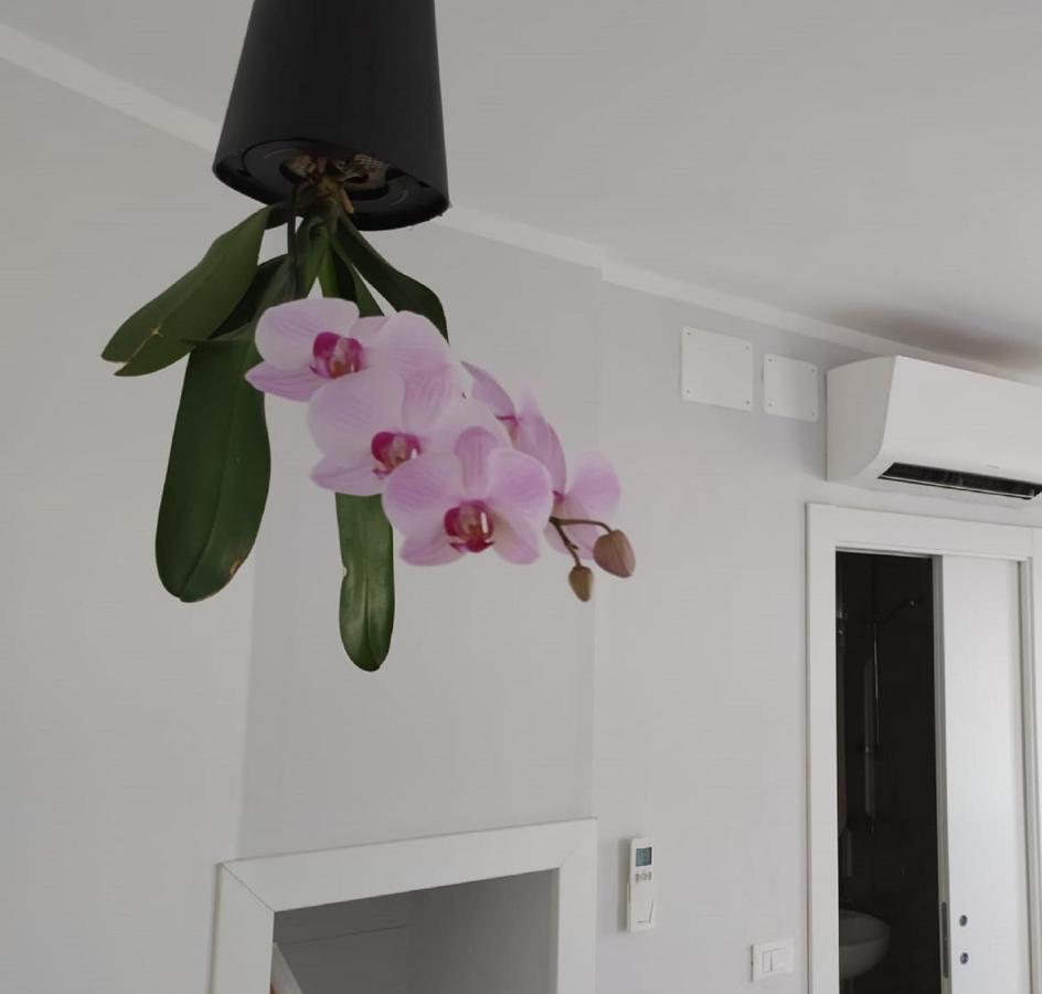 Aquarium Rooms جنوة المظهر الخارجي الصورة